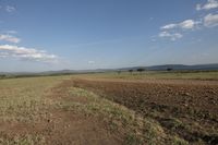 an empty dirt field with a small tree standing on one end of the path and mountains in the distance