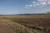 an empty dirt field with a small tree standing on one end of the path and mountains in the distance