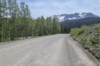 a long dirt road leading into some mountains in the distance with trees and grass in the foreground