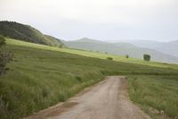 a dirt road leads to a green hilly field of grass and mountains in the distance