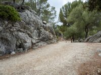 an image of a dirt road and some rocks in the background, and one lone horse standing at the corner with its back legs crossed