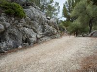 an image of a dirt road and some rocks in the background, and one lone horse standing at the corner with its back legs crossed