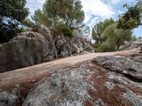 there is some rocks and trees on the mountain side as a person rides down it