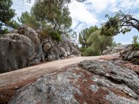 there is some rocks and trees on the mountain side as a person rides down it