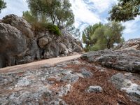 there is some rocks and trees on the mountain side as a person rides down it