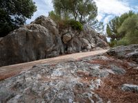 there is some rocks and trees on the mountain side as a person rides down it