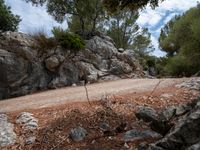 there is some rocks and trees on the mountain side as a person rides down it