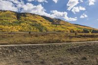 an open dirt road running through a field next to mountains and trees in the distance