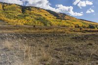 an open dirt road running through a field next to mountains and trees in the distance