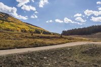 an open dirt road running through a field next to mountains and trees in the distance