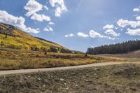 an open dirt road running through a field next to mountains and trees in the distance
