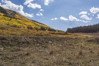 an open dirt road running through a field next to mountains and trees in the distance