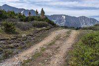 a dirt road with many trees and grass near some mountains in the distance, with snow - capped peaks in the background