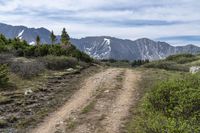 a dirt road with many trees and grass near some mountains in the distance, with snow - capped peaks in the background