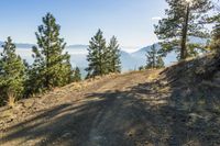 a dirt road with trees near the top of a mountain above mountains in colorado, usa