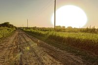 a dirt road is shown in the middle of nowhere with the sun rising over the horizon