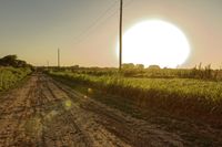 a dirt road is shown in the middle of nowhere with the sun rising over the horizon
