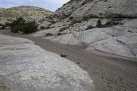 a dirt road runs in between large rocks, near trees and shrubs at the bottom of a rocky hill