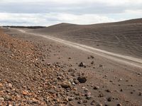 Scenic Dirt Road in Sandy Landscape