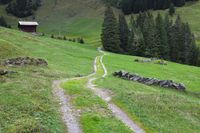 a path leads through a green field in a mountainous area with mountains and green hills