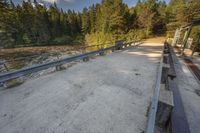 a dirt road by trees on a sunny day with benches next to it and two people