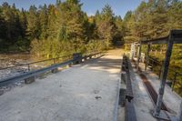 a dirt road by trees on a sunny day with benches next to it and two people