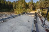 a dirt road by trees on a sunny day with benches next to it and two people