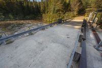 a dirt road by trees on a sunny day with benches next to it and two people