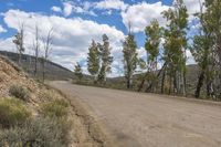 a dirt road with trees on the sides and a sign advertising a short drive that says no overtaking