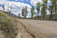 a dirt road with trees on the sides and a sign advertising a short drive that says no overtaking