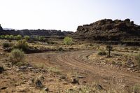 a dirt road is going through a desert landscape and mountains in the background, there are rocks and dry grass