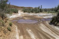 a muddy dirt road near brush covered mountains with trees and bushes surrounding it and the road has a water hole at the middle