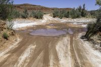 a muddy dirt road near brush covered mountains with trees and bushes surrounding it and the road has a water hole at the middle