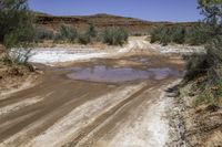 a muddy dirt road near brush covered mountains with trees and bushes surrounding it and the road has a water hole at the middle