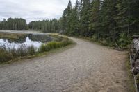 a dirt trail that is near the water surrounded by trees with grass in it and a canoe out to the side