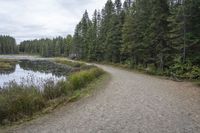 a dirt trail that is near the water surrounded by trees with grass in it and a canoe out to the side