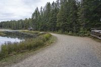 a dirt trail that is near the water surrounded by trees with grass in it and a canoe out to the side