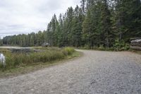 a dirt trail that is near the water surrounded by trees with grass in it and a canoe out to the side