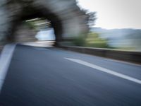 an blurred image of a car driving along a road with lots of green shrubs on the side