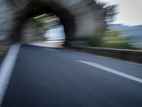 an blurred image of a car driving along a road with lots of green shrubs on the side