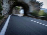 an blurred image of a car driving along a road with lots of green shrubs on the side