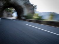 an blurred image of a car driving along a road with lots of green shrubs on the side
