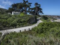 Scenic Drive in California, USA: Breathtaking Ocean Views