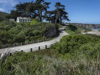 Scenic Drive in California, USA: Breathtaking Ocean Views