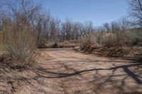 a dirt road winding through dry brush and trees on a clear, sunny day in the country side