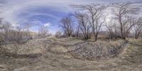 an image of a view from below of the woods and barren area around the water