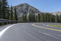 the highway goes into mountains with pine trees beside it, and with two people on the side