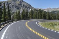 the highway goes into mountains with pine trees beside it, and with two people on the side