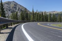 the highway goes into mountains with pine trees beside it, and with two people on the side