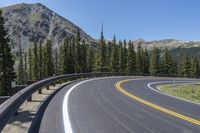 the highway goes into mountains with pine trees beside it, and with two people on the side